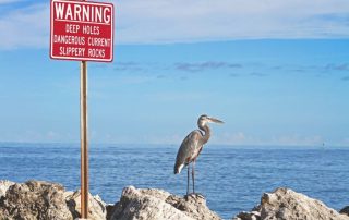 Bird and warning deep holes signboard